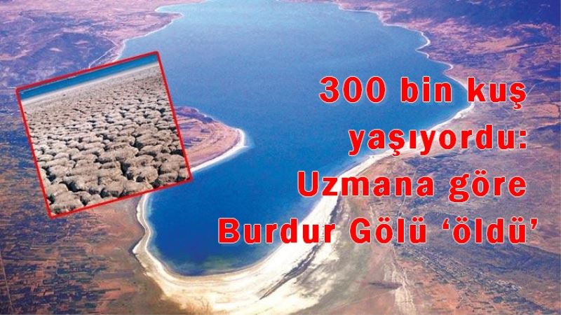 300 bin kus yasiyordu: Uzmana göre Burdur Gölü ?öldü`