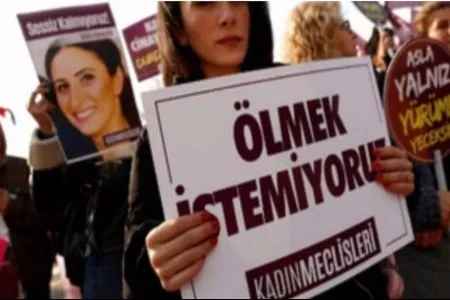 2024 yılında 421 kadın erkekler tarafından katledildi!