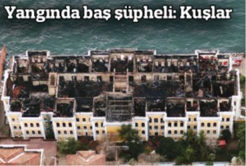 Yanginda bas süpheli: Kuslar