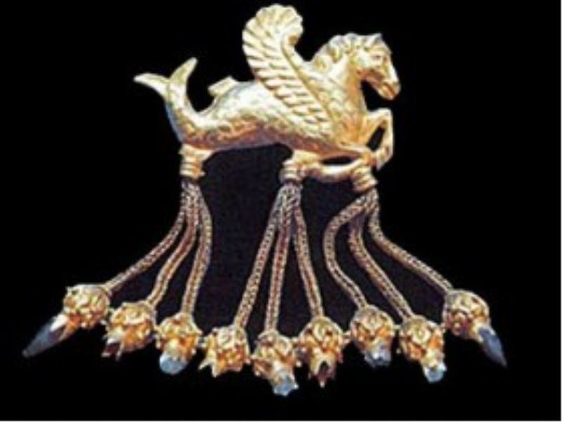 Kanatli Denizati Brosu Türkiye`de