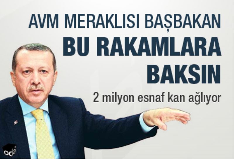 AVM meraklisi Basbakan bu rakamlara baksin