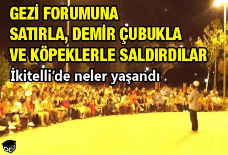 Gezi forumuna satirla, demir çubukla ve köpeklerle saldirdilar