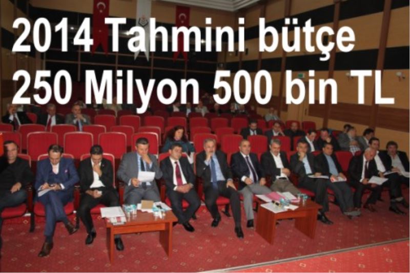 2014 Tahmini bütçe 250 Milyon 500 bin TL