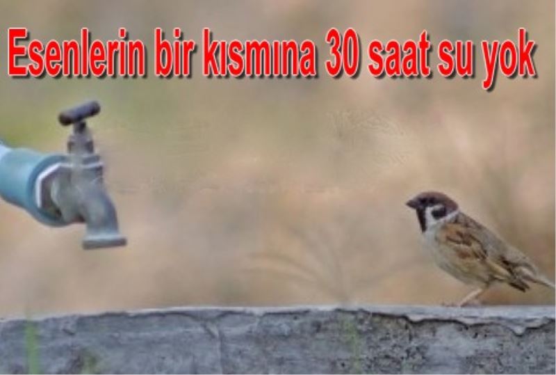 Esenlerin bir kismina 30 saat su yok