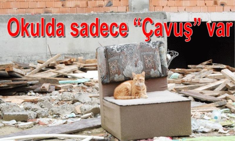 Okulda sadece ?Çavus? var