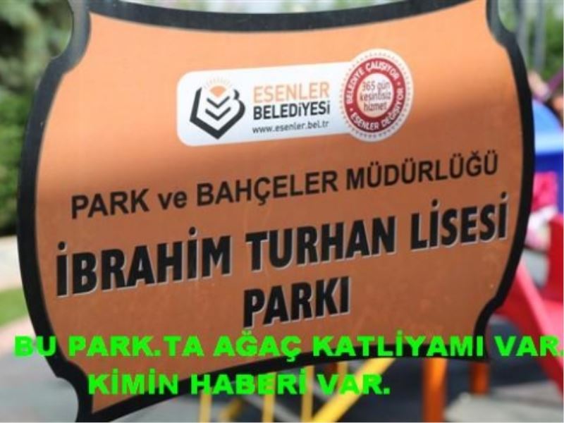 Ibrahim Turhan Lisesi Parkindaki Agaç Katliami