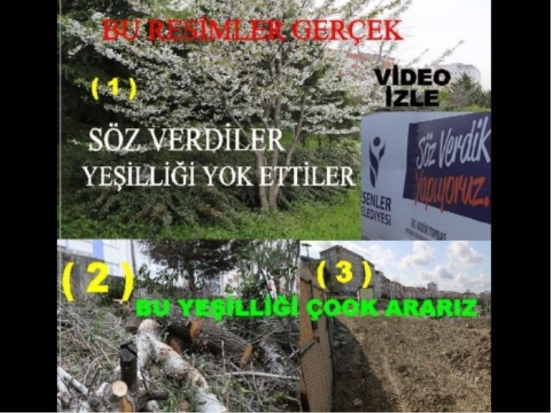 Esenlerin Gizli Bahçesi Yok Oldu!