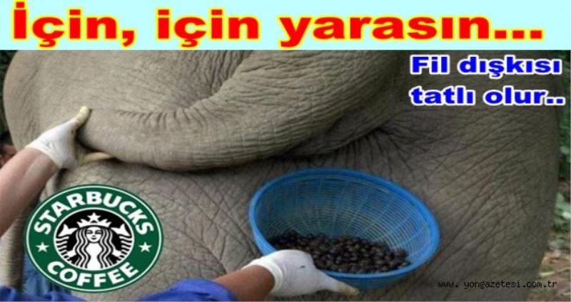 Kahvenin Içine Fil Diskisi Kattiklarini Itiraf Ettiler.