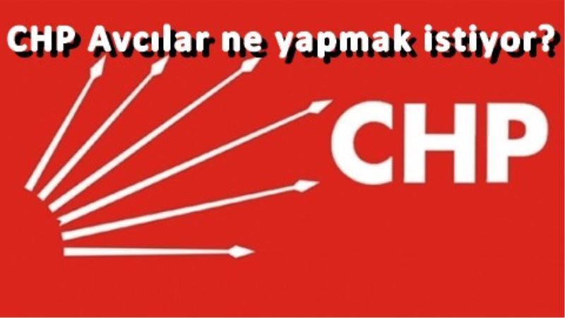 CHP Avcilar ne yapmak istiyor?