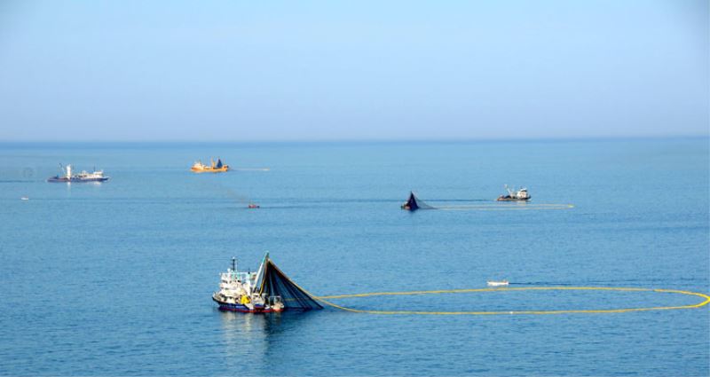 Karadeniz`deki 161 balik türünden 59`u yok oldu