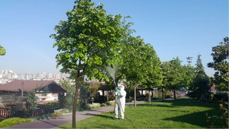 Bagcilar`da asiri neme karsi ?Yesil önlem? alindi