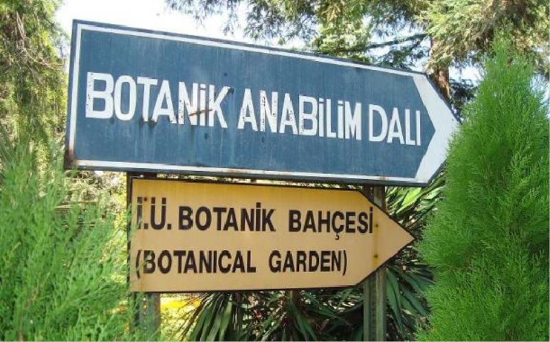 Istanbul Üniversitesi Botanik Bahçesi müftülüge verilmek için tahliye ediliyor