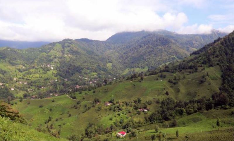 15 yayla statüsü kaldirilarak imara mi açilacak?